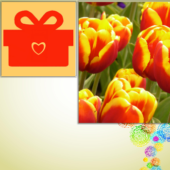 QSware Party messages sticker-10