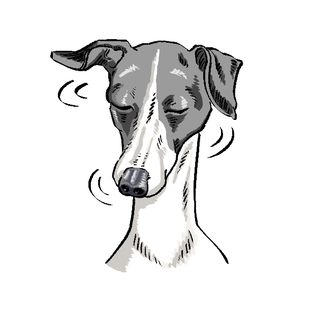 P.S. I Love Dogs - Dog Stickers messages sticker-2