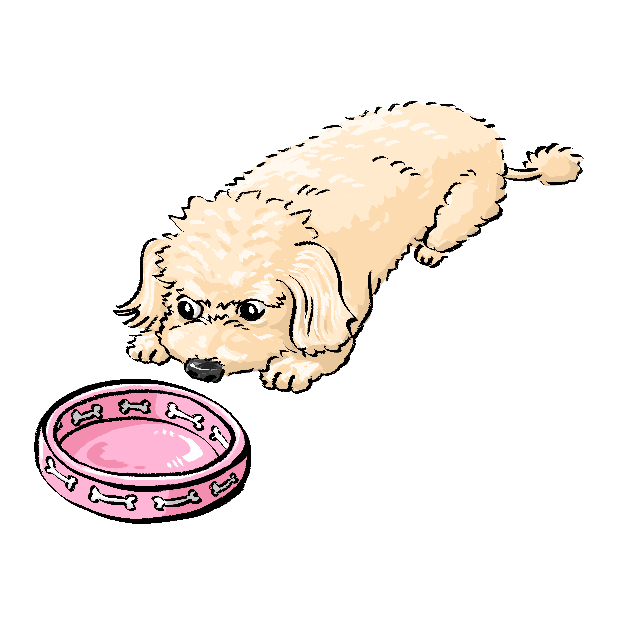 P.S. I Love Dogs - Dog Stickers messages sticker-10