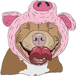 Meatball messages sticker-1