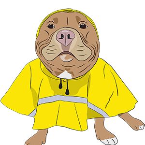 Meatball messages sticker-5