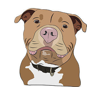 Meatball messages sticker-4