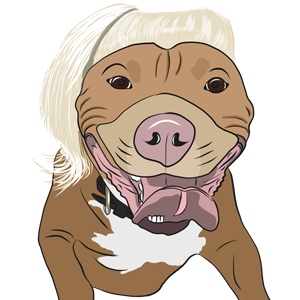 Meatball messages sticker-2
