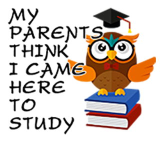 Erasmoji - Stickers for erasmus students messages sticker-3