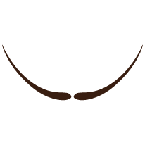 Moostache messages sticker-4