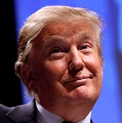Trump Stickies messages sticker-6