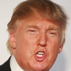 Trump Stickies messages sticker-3
