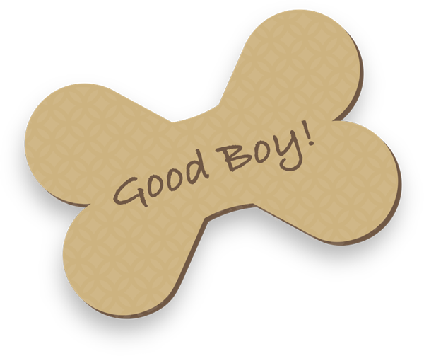 Puppy for President, Series 1 messages sticker-4