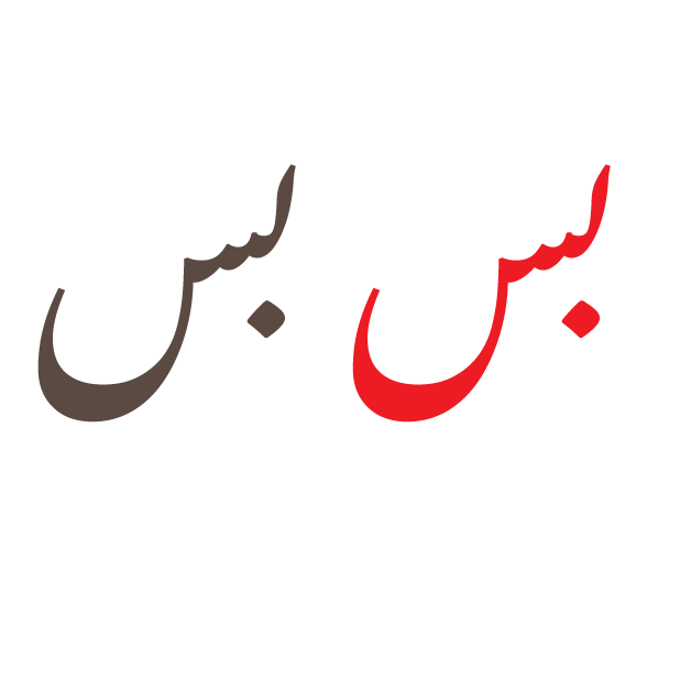 Desi Urdu messages sticker-9