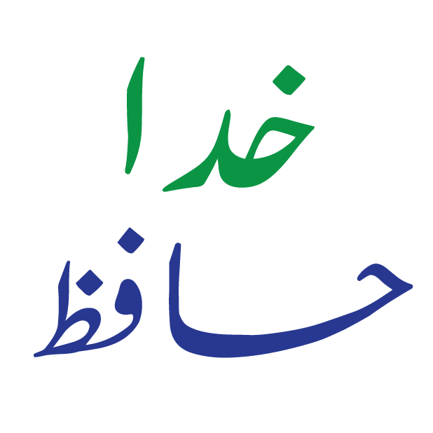 Desi Urdu messages sticker-7