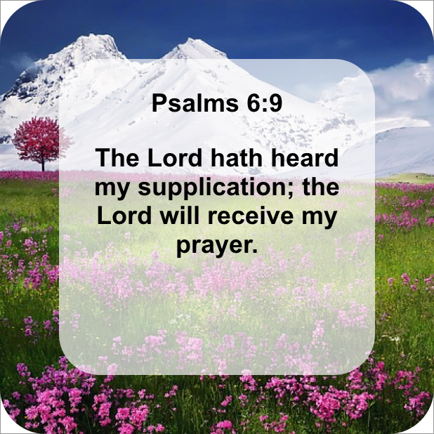Pray-Verse Stickers messages sticker-8
