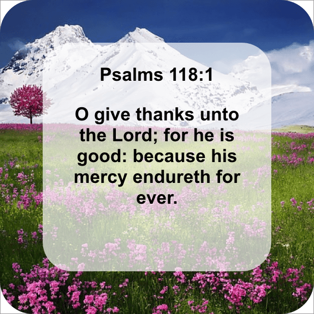 Pray-Verse Stickers messages sticker-6
