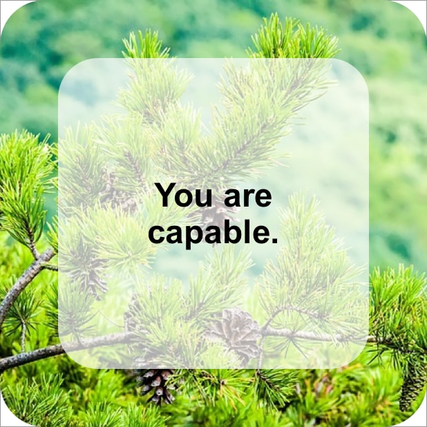 MindSpire Stickers messages sticker-4
