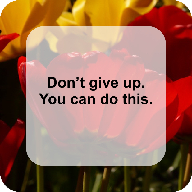MindSpire Stickers messages sticker-9
