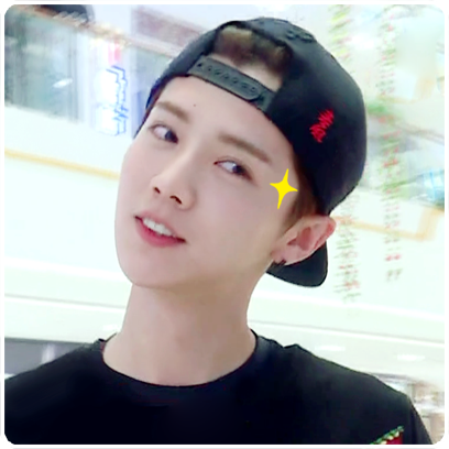 LU HAN Stickers messages sticker-1