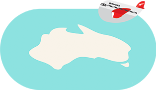 Qantas Stickers messages sticker-6
