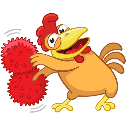 Fima the Rooster messages sticker-11
