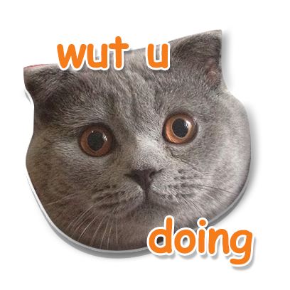 Meow Stickers messages sticker-6