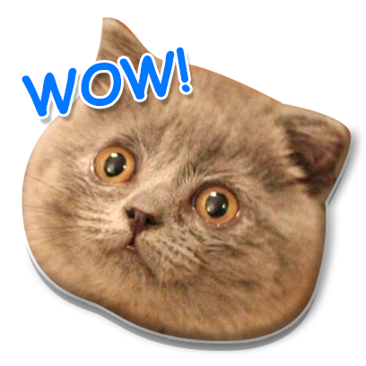 Meow Stickers messages sticker-11
