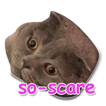 Meow Stickers messages sticker-10