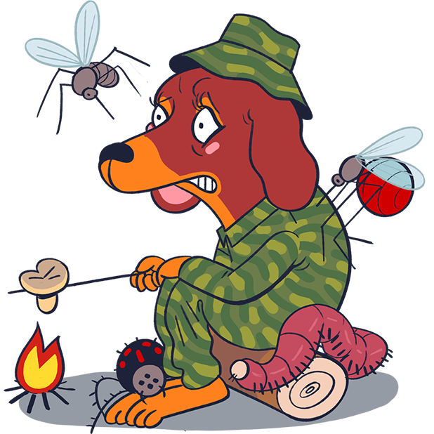 Dachshund Jones messages sticker-5