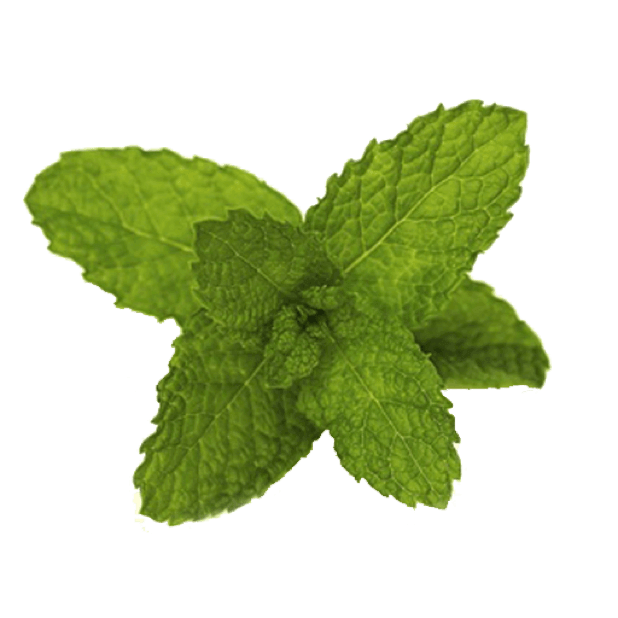Spring Flowers Stickers for iMessage messages sticker-5