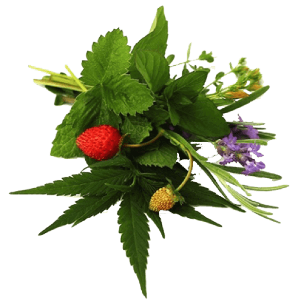 Spring Flowers Stickers for iMessage messages sticker-8