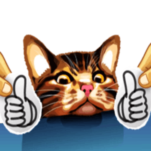 Meme cat messages sticker-6