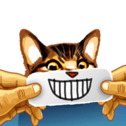 Meme cat messages sticker-0