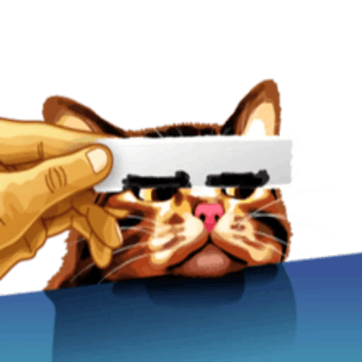 Meme cat messages sticker-3