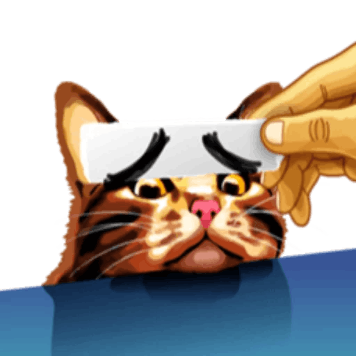 Meme cat messages sticker-9