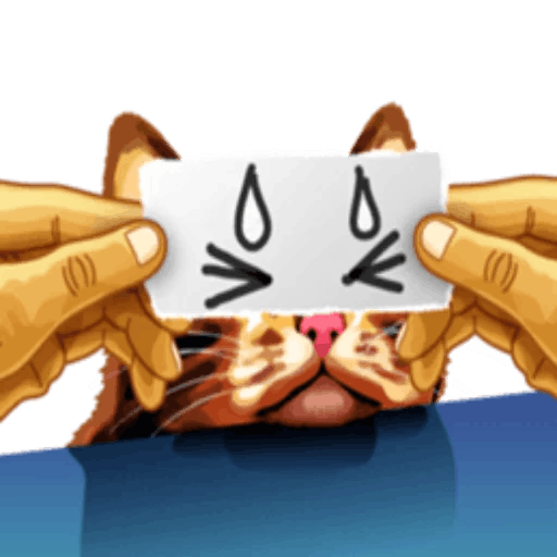 Meme cat messages sticker-10
