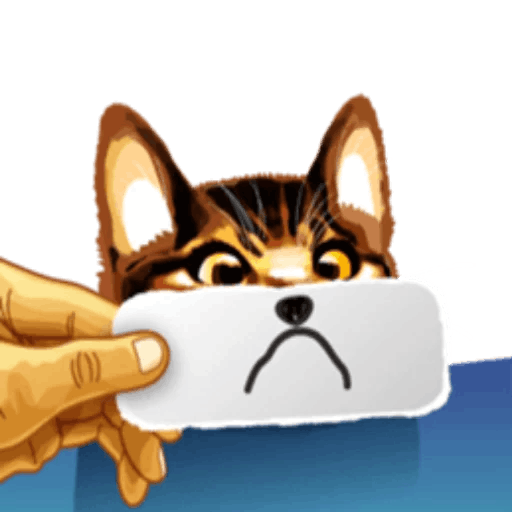 Meme cat messages sticker-5