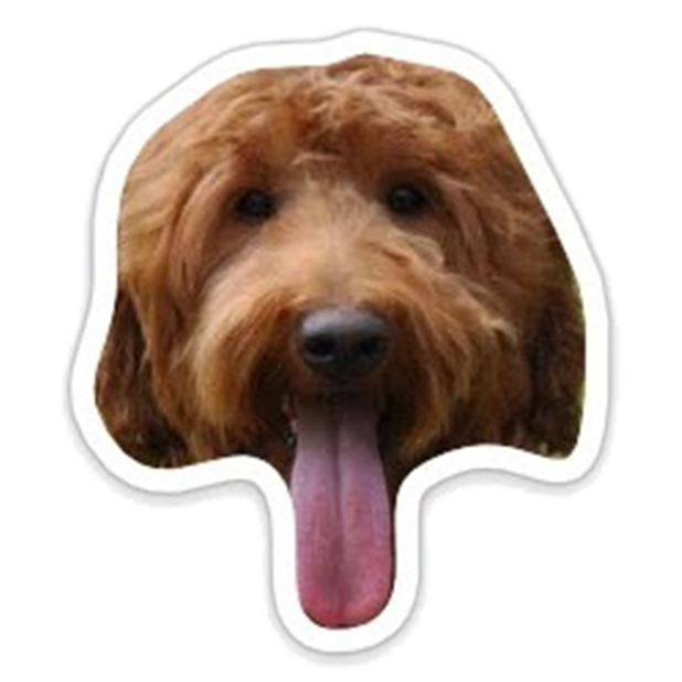 Louie - Dog Stickers for iMessage messages sticker-3