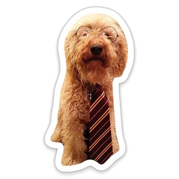 Louie - Dog Stickers for iMessage messages sticker-10
