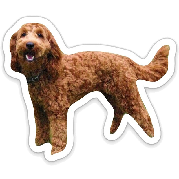 Louie - Dog Stickers for iMessage messages sticker-2
