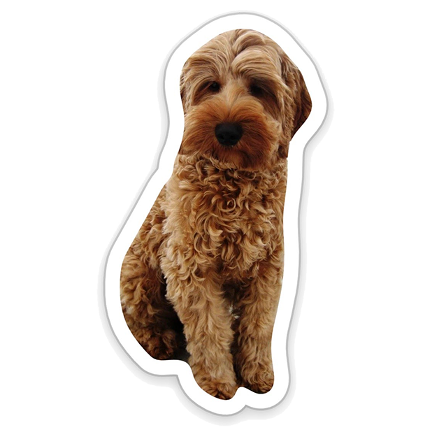 Louie - Dog Stickers for iMessage messages sticker-9