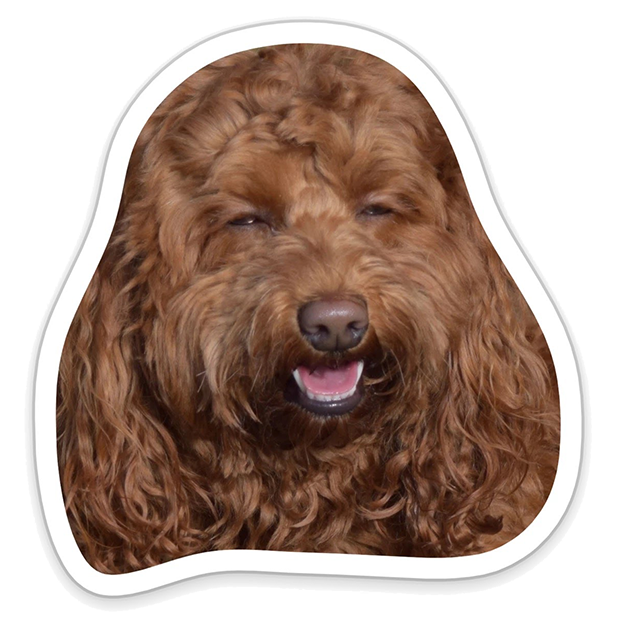 Louie - Dog Stickers for iMessage messages sticker-4