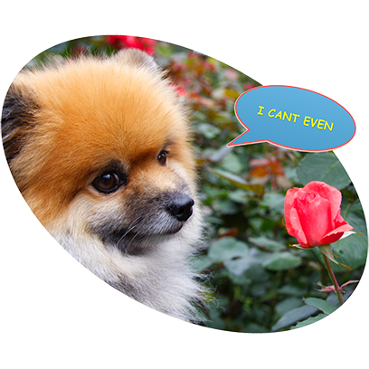 Captain Henry Gingersnaps messages sticker-9