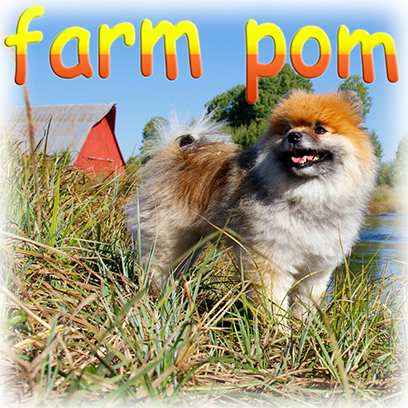 Captain Henry Gingersnaps messages sticker-6
