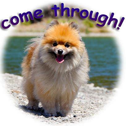 Captain Henry Gingersnaps messages sticker-4