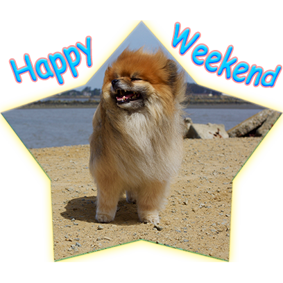 Captain Henry Gingersnaps messages sticker-8