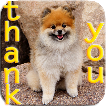 Captain Henry Gingersnaps messages sticker-9