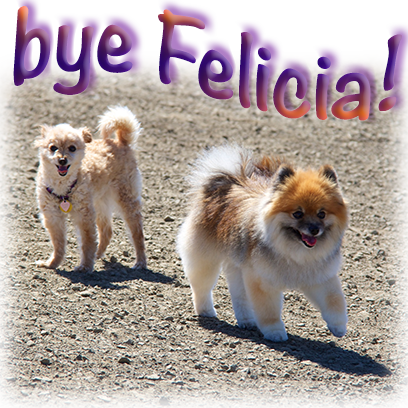 Captain Henry Gingersnaps messages sticker-2