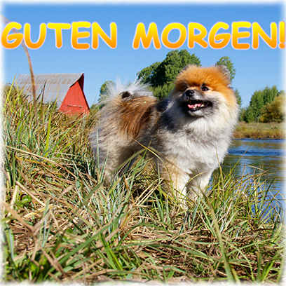 Captain Henry Gingersnaps messages sticker-5