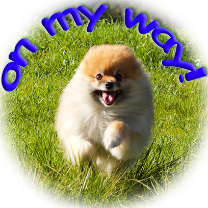 Captain Henry Gingersnaps messages sticker-10