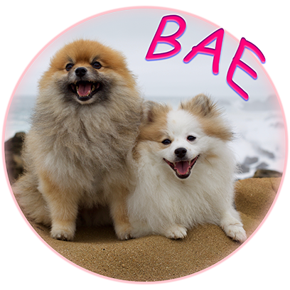 Captain Henry Gingersnaps messages sticker-0