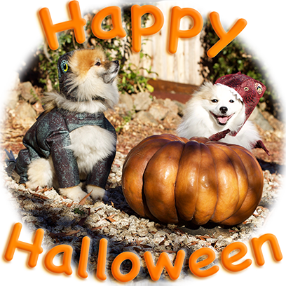 Captain Henry Gingersnaps messages sticker-1