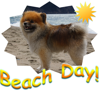 Captain Henry Gingersnaps messages sticker-3