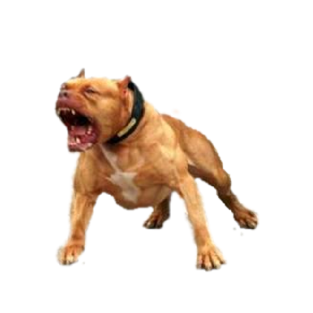 Battle Text Prank-Defend Against Jerks! messages sticker-4